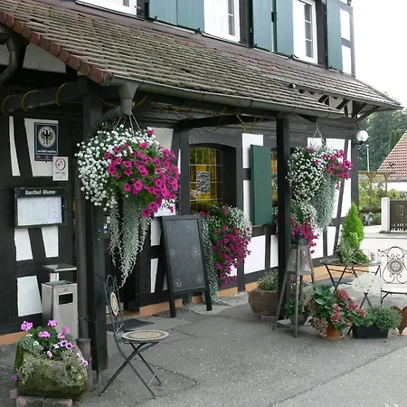 Affittacamere Landgasthof Blume Lichtenau (Baden-Wurttemberg)