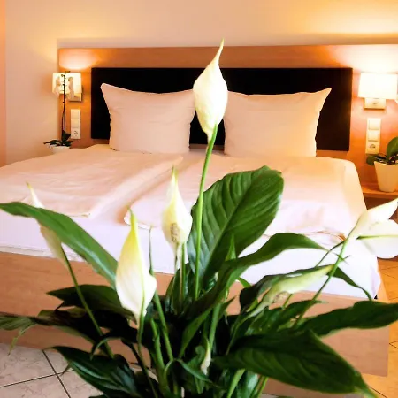 Landgasthof Blume Affittacamere